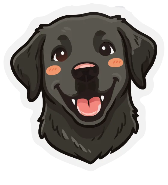 Retriever, black
