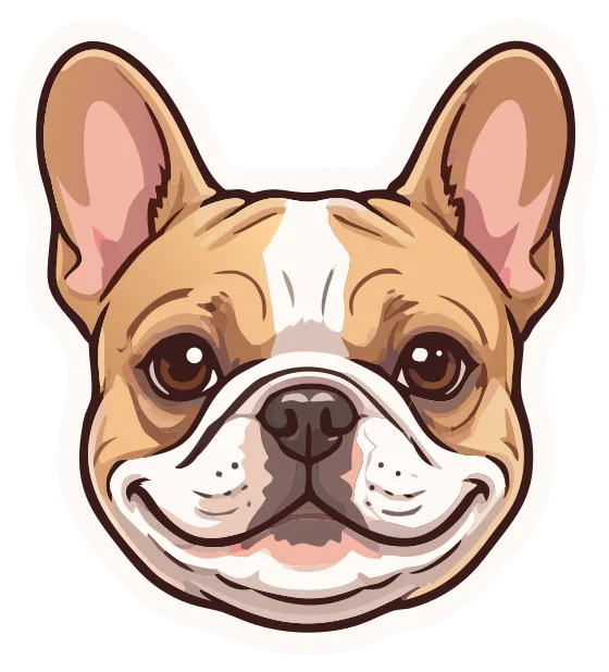 French Bulldog, fawn