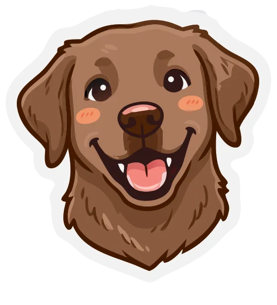 Retriever, chocolate