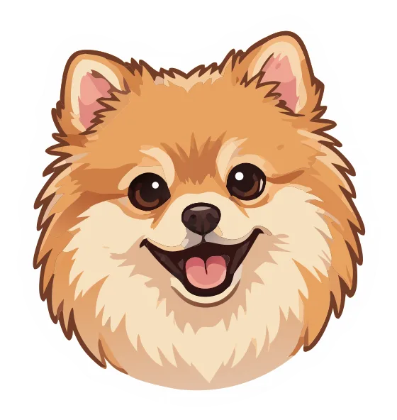 Pomeranian, tan